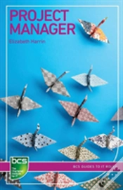 Capa do artigo Project Manager