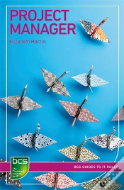 Capa do artigo Project Manager