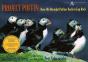 Project Puffin - Preview