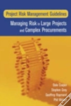 Capa do artigo Project Risk Management Guidelines