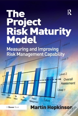 Capa do artigo Project Risk Maturity Model