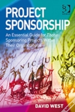 Capa do artigo Project Sponsorship