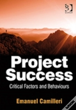 Capa do artigo Project Success