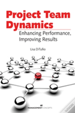 Capa do artigo Project Team Dynamics