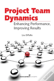 Capa do artigo Project Team Dynamics