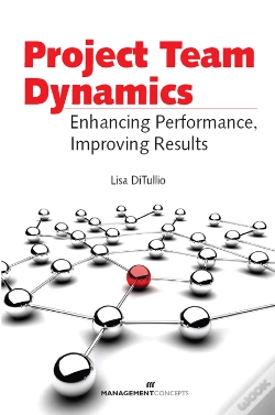 Capa do artigo Project Team Dynamics