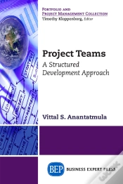 Capa do artigo Project Teams