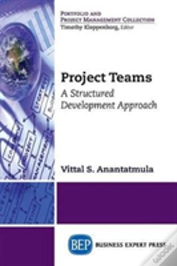 Capa do artigo Project Teams