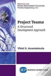 Capa do artigo Project Teams