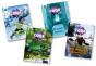 Project X Code Extra: Orange Book Band, Oxford Level 6: Fiendish Falls And Big Freeze, Mixed Pack Of 4 - Preview