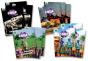 Project X Code Extra: Turquoise Book Band, Oxford Level 7: Castle Kingdom And Forbidden Valley, Class Pack Of 12 - Preview