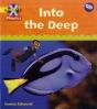 Project X Phonics: Yellow 9b Into The Deep - Preview