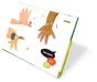 Projecte:Les Mans. Infantil Ho Has Vist? - Preview