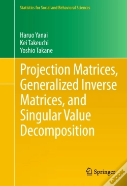 Capa do artigo Projection Matrices, Generalized Inverse Matrices, And Singular Value Decomposition