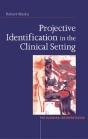 Projective Identification In The Clinical Setting - Preview