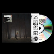 Capa do artigo Projector - CD