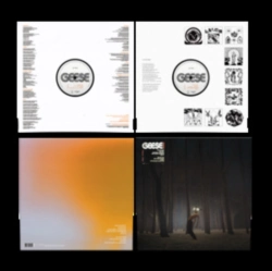 Capa do artigo Projector - Vinil