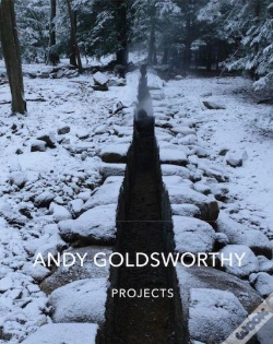 Capa do artigo Projects
