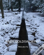 Capa do artigo Projects