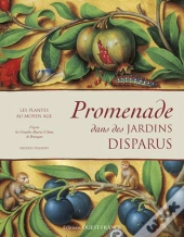 Promenade Dans Des Jardins Disparus ; Les Plantes Au Moyen Age