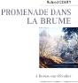 Promenade Dans La Brume À Bersac-Sur-Rivalier - Preview