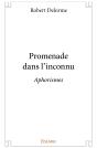 Promenade Dans L'Inconnu - Preview