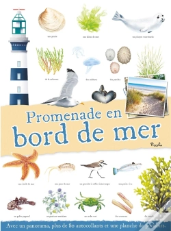 Capa do artigo Promenade En Bord De Mer