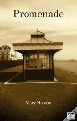 Capa do artigo Promenade