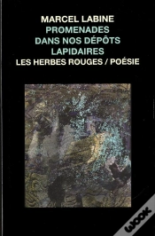 Capa do artigo Promenades Dans Nos Depots Lapidaire