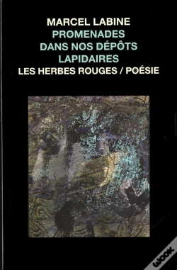 Capa do artigo Promenades Dans Nos Depots Lapidaire
