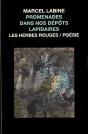 Promenades Dans Nos Depots Lapidaire - Preview