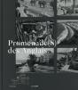 Promenades Des Anglais - Preview