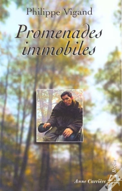 Capa do artigo Promenades Immobiles