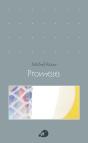 Promesses - Preview