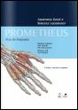 Prometheus - Atlas de Anatomia - Preview