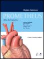 Prometheus - Atlas de Anatomia - Preview