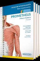 Prometheus Atlas De Anatomia