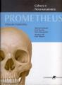 Prometheus - Atlas de Anatomia - Volume 3 - Preview