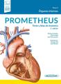 Prometheus Texto Y Atlas De Anatomia - Preview