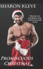 Promiscuous Christmas - Preview