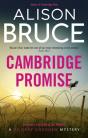 Promise - Preview