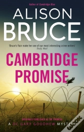 Promise