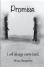 Promise - Preview