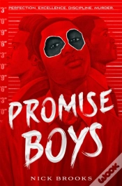 Capa do artigo Promise Boys
