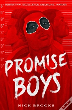 Capa do artigo Promise Boys