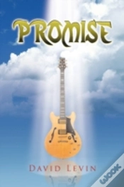 Capa do artigo Promise