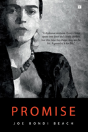 Promise - Preview