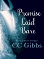 Promise Laid Bare - Preview