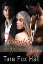 Promise Me Anthology #1 - Preview
