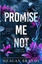 Promise Me Not - Preview